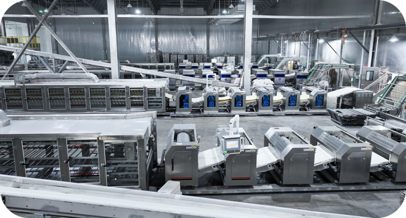 引進先進設(shè)備與工藝